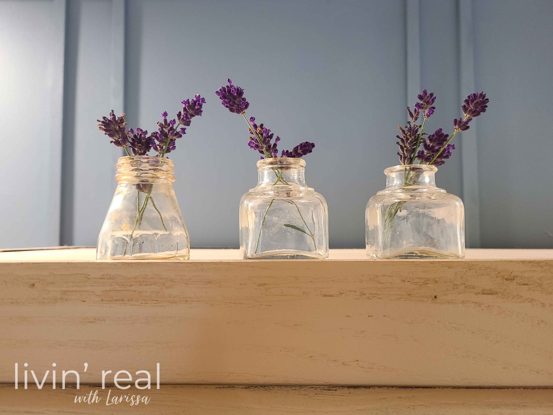 Lavender Stems in Ink Jars by Livin' Real with Larissa | livinrealwithlarissa.com #livinrealwithlarissa Lavender Stems in Ink Jars by Livin' Real with Larissa | livinrealwithlarissa.com #livinrealwithlarissa
